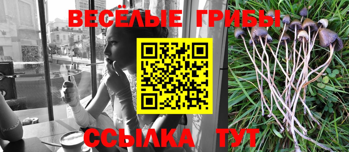 Галлюциногенные грибы Magic Shrooms  Псилоцибиновые грибы Psilocybine cubensis  Вход с VPN  Гай 