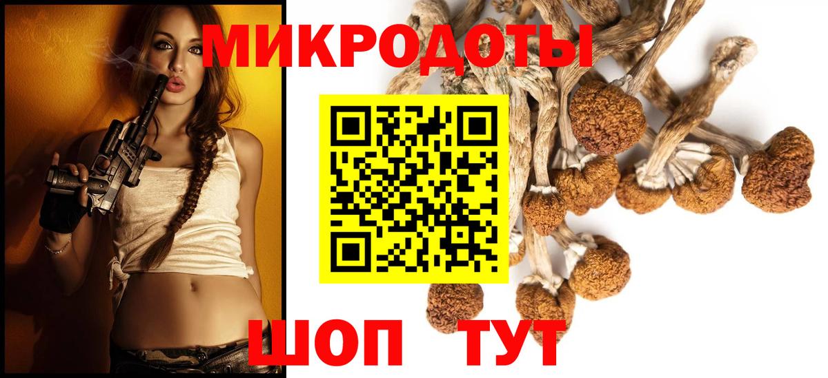 Галлюциногенные грибы Magic Shrooms Гай